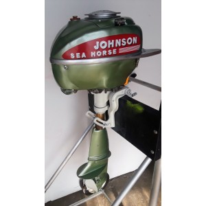 Johnson TS Outboard